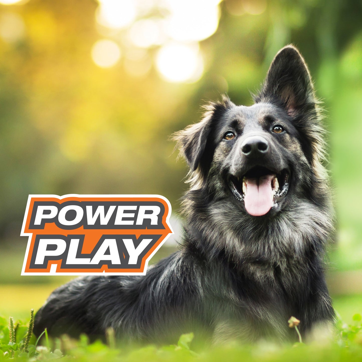 Power Play Football 8.5 Inch Dog Training Toy