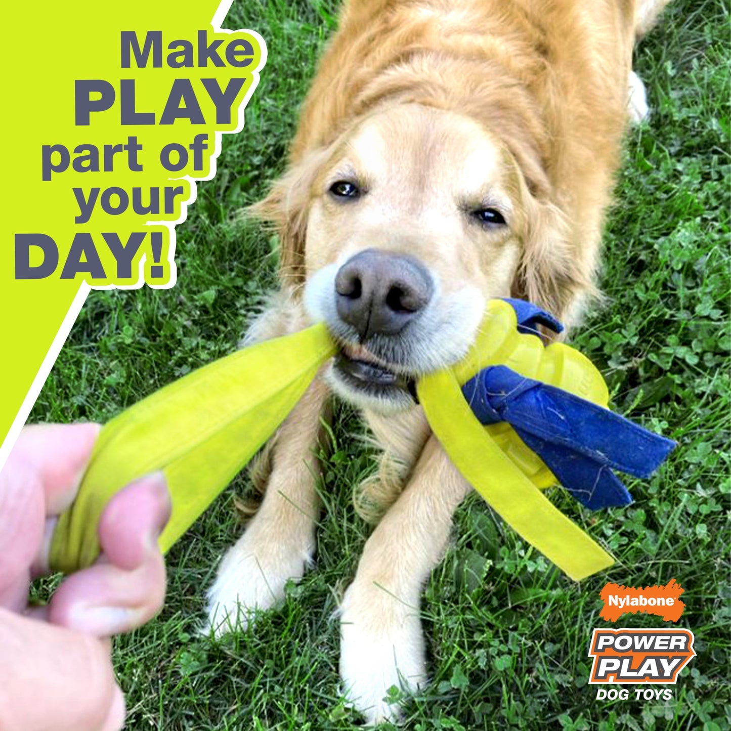 Power Play Football 8.5 Inch Dog Training Toy