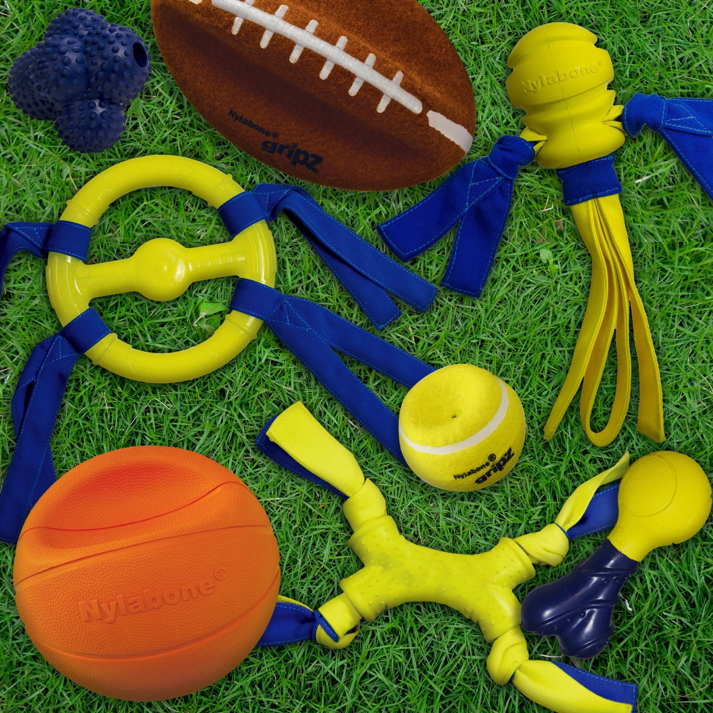 Power Play Football 8.5 Inch Dog Training Toy