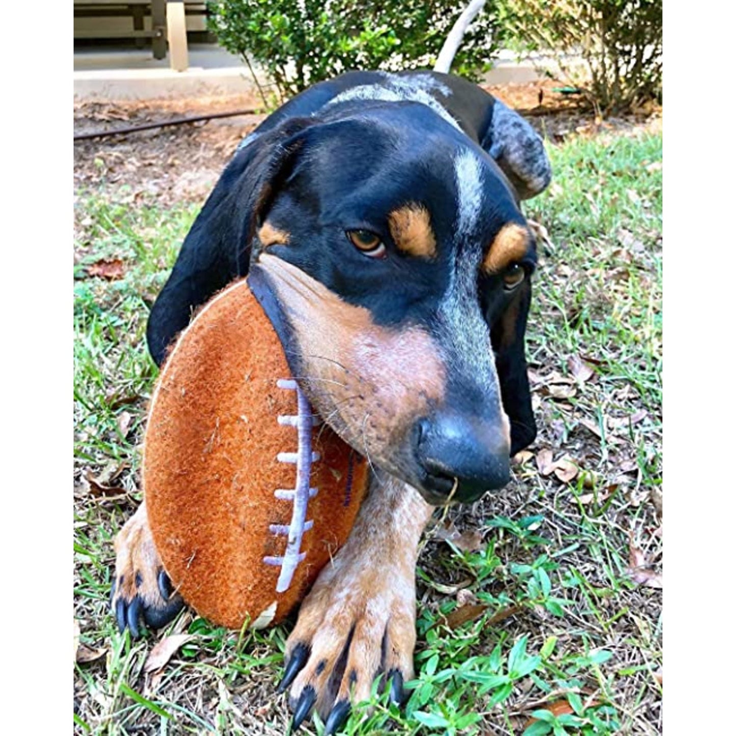 Power Play Football 8.5 Inch Dog Training Toy