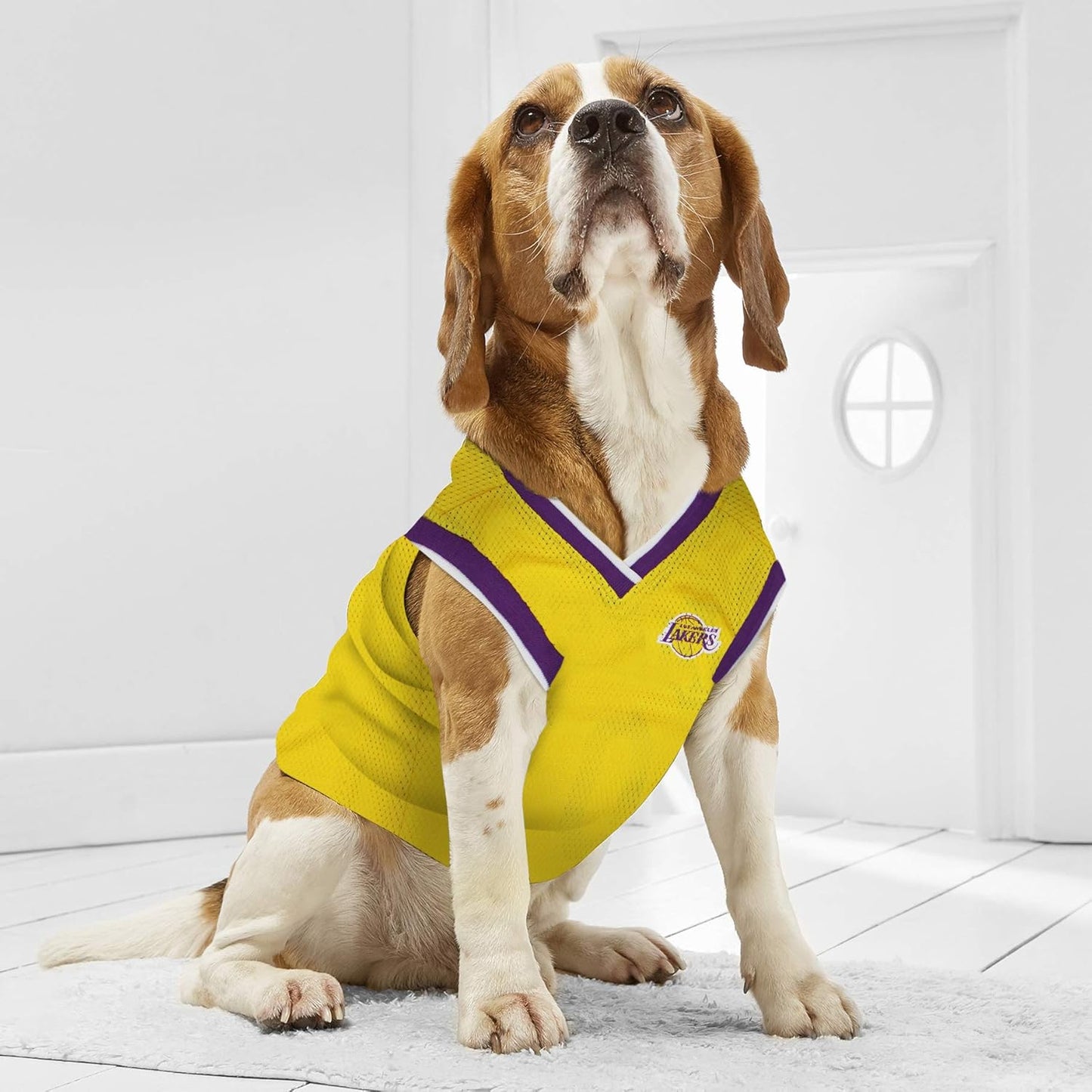 LA Lakers Dog/Pet NBA Licensed Jersey