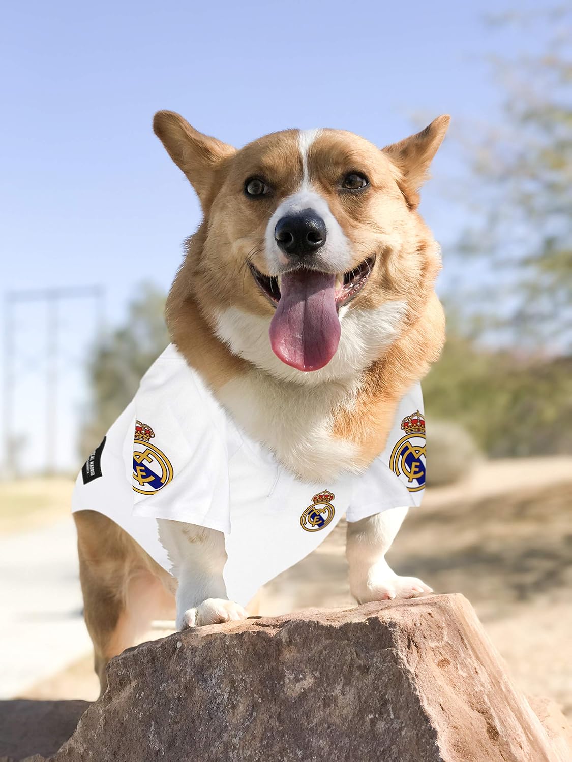 Real Madrid Dog/Pet Jersey Licensed Football Top
