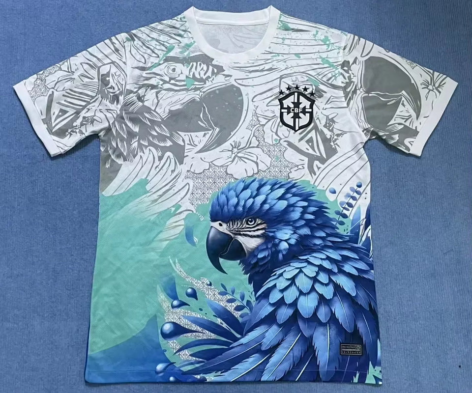 Assorted Brazil (concept and real) Replica Jerseys