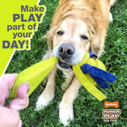 Power Play Football 8.5 Inch Dog Training Toy