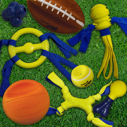 Power Play Football 8.5 Inch Dog Training Toy